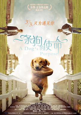 成人第四色